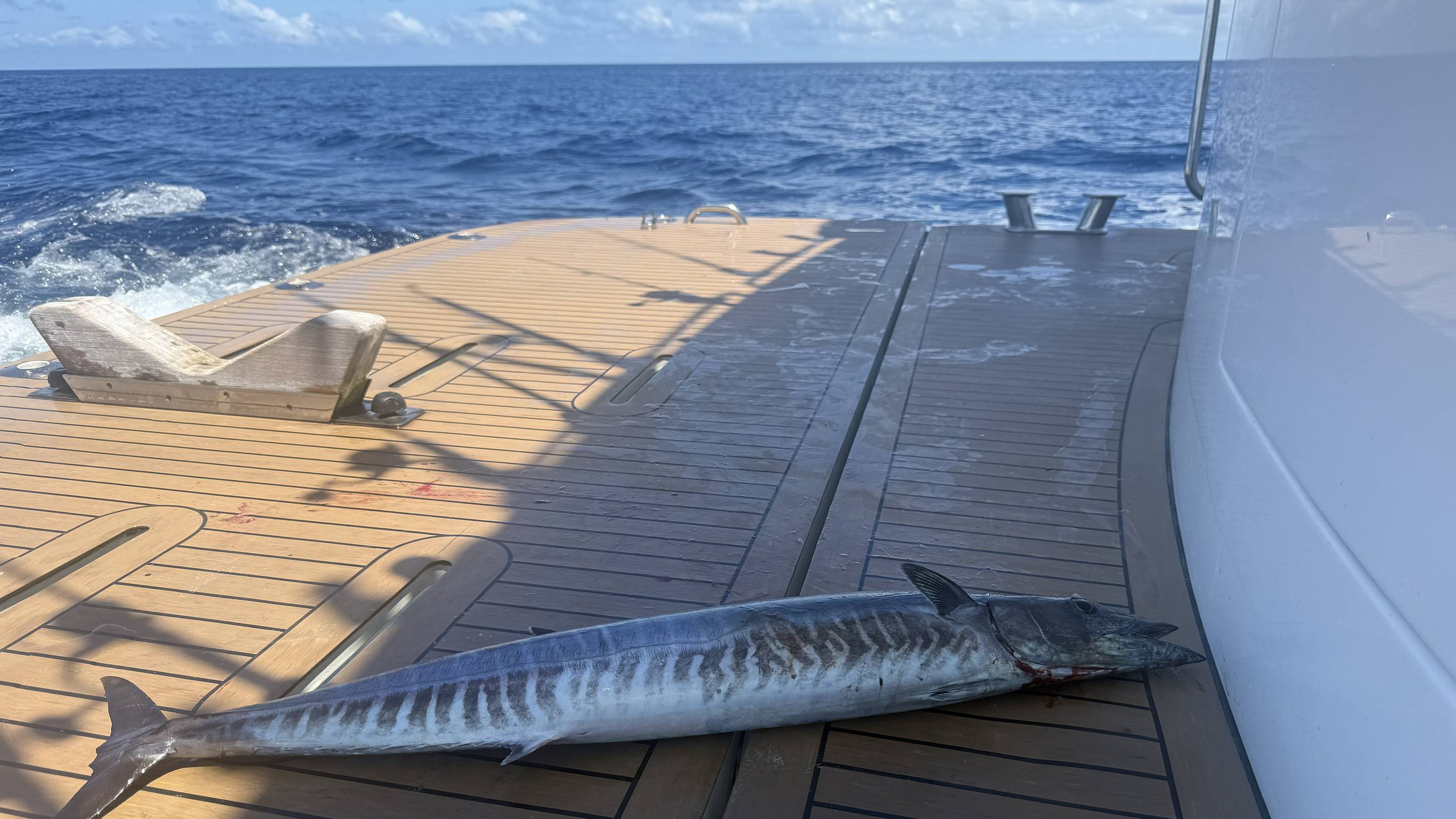 The Maldives Beyond the Beach: A Sportfishing Paradise