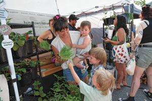 Tiny greens, big lessons: Learning about microgreens one mistake at a time