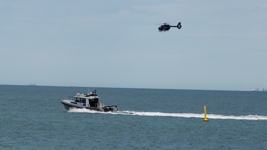 'Needle in haystack': expert says little chance of finding shark that killed Greg O'Neill