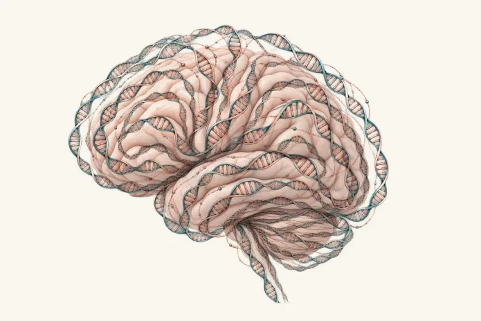 Nathan Cofnas’s revolution: Science, heredity, and the values that underpin liberal society