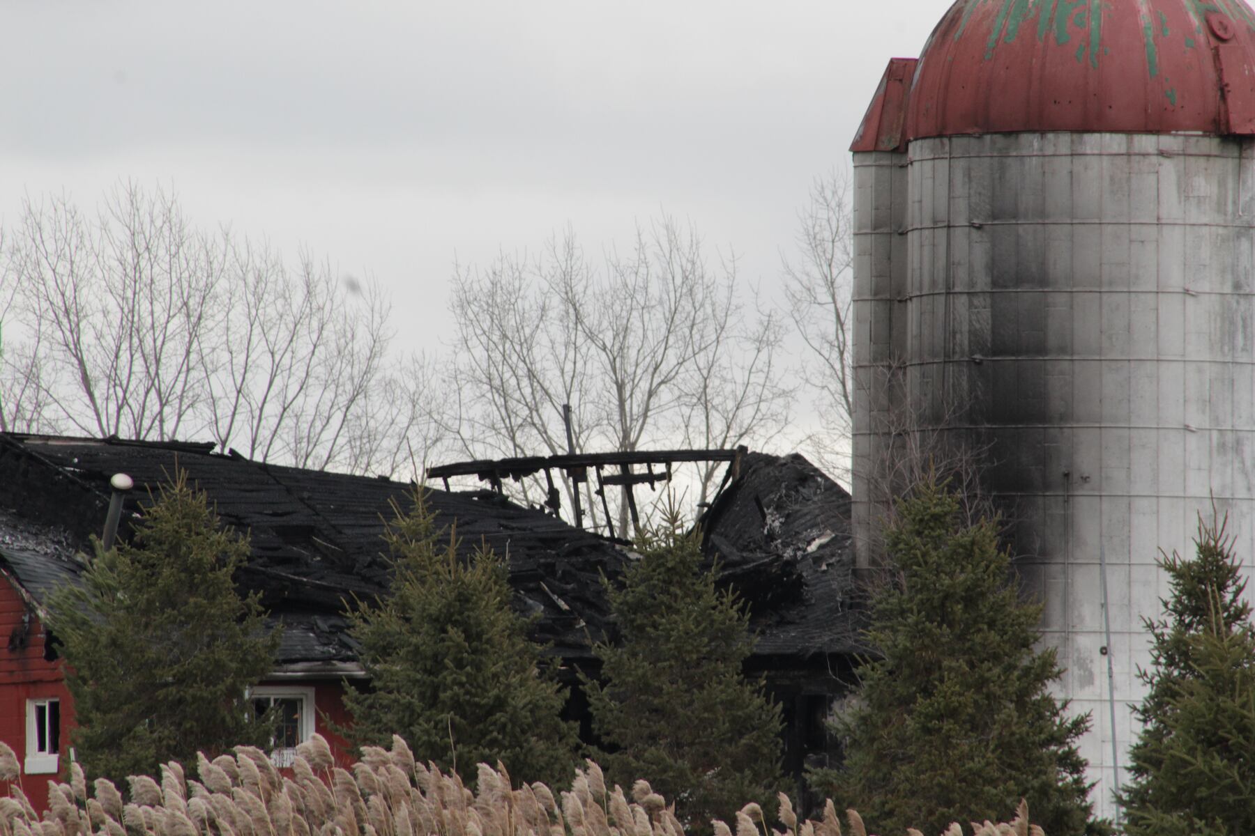 Weddings continue at new site as family rebuilds after historic barn fire