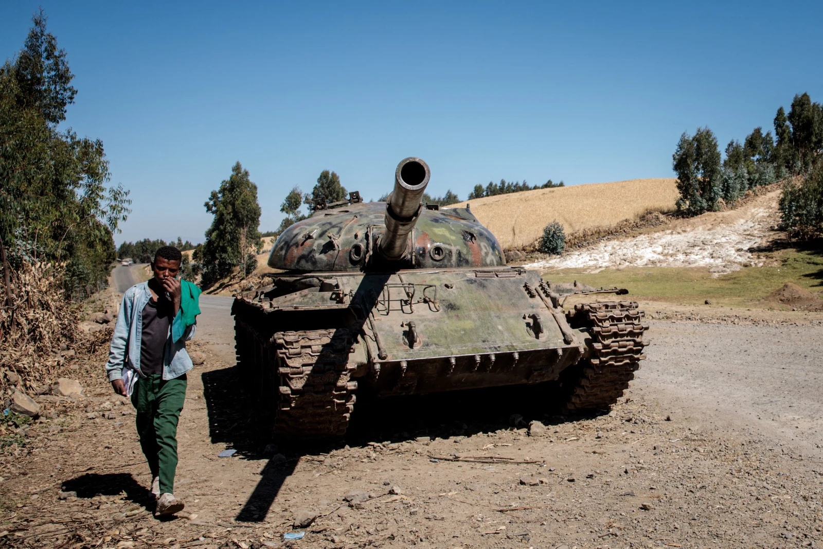 Ethiopia’s main armed groups announce alliance against government
