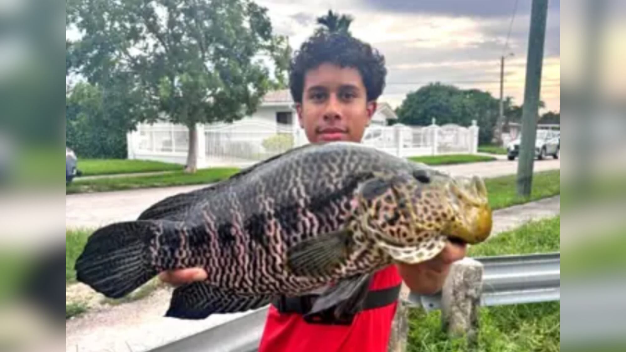 He thought he hooked a bass. Instead, a teen shattered a 9-year state record