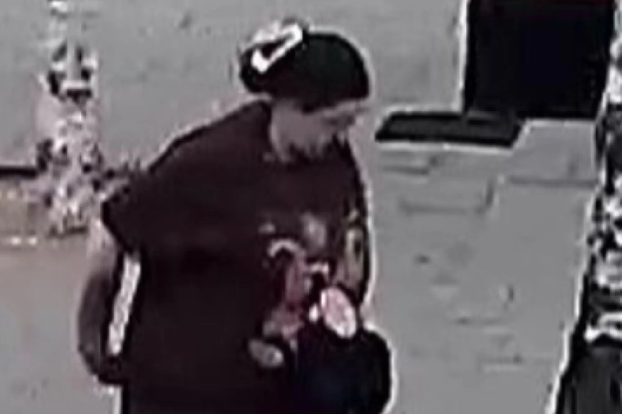 Boy, one, rushed to hospital after dog ‘lunges into pushchair and bites his face’ as cops launch urgent appeal
