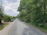 Girl, 17, is fighting for her life in hospital after motorbike and van crash in Wiltshire