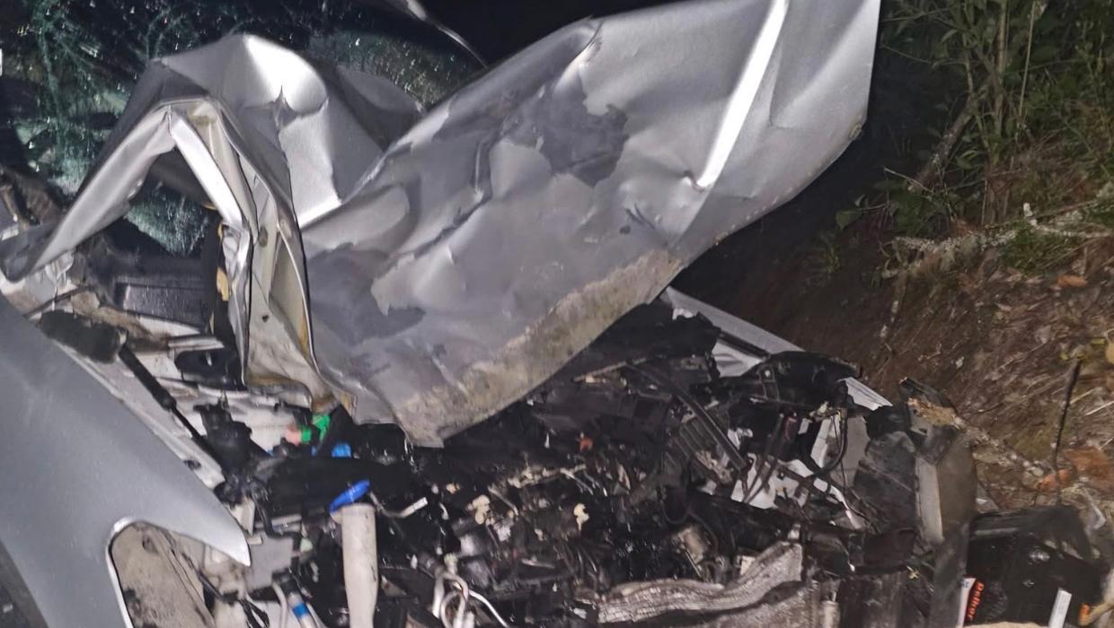 Opshop frontman Jason Kerrison survives late-night crash with cow