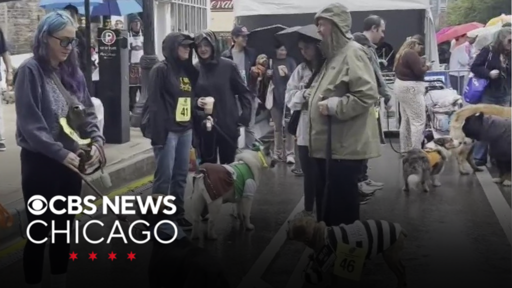 Dog parade held at 2nd annual Old Town Oktoberfest
