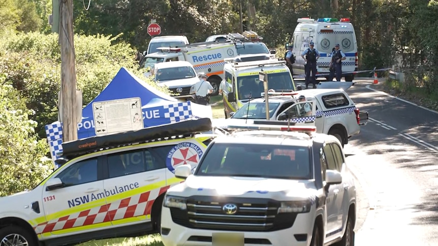 Mother confirmed a suspect in domestic violence stabbings