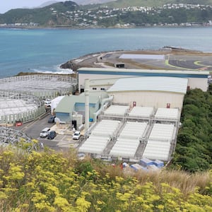 Moa Point report reveals design flaws and ignored risks before February disaster