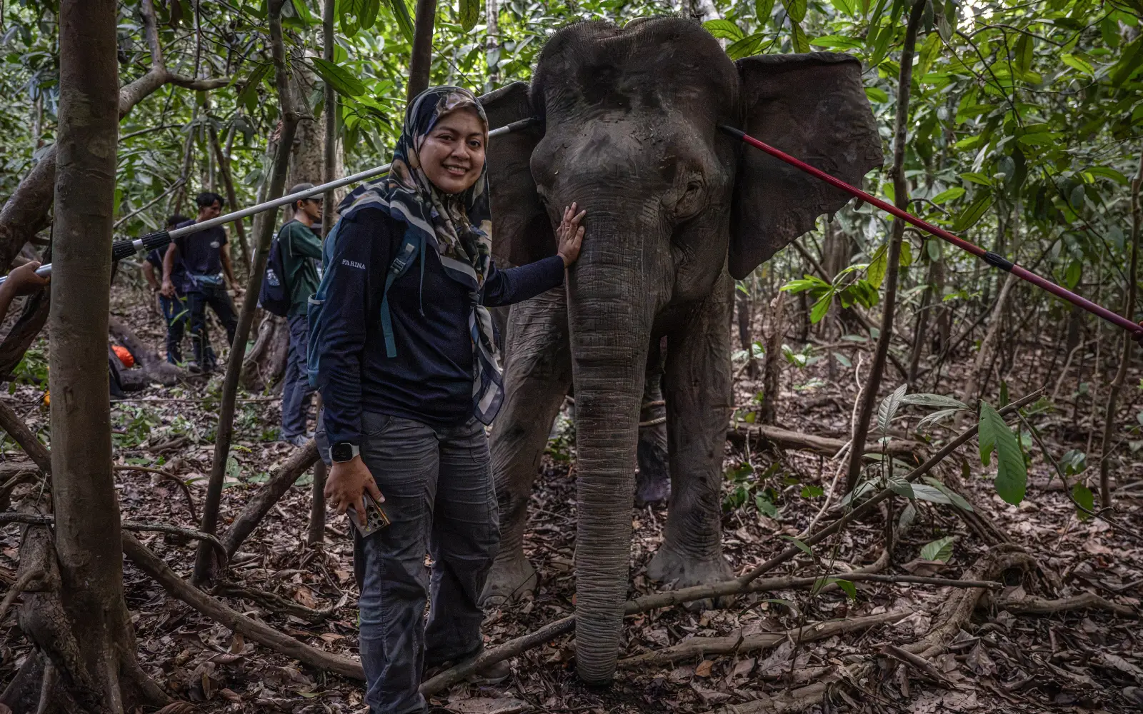 Malaysia’s ‘elephant whisperer’ fights to save Borneo’s endangered giants