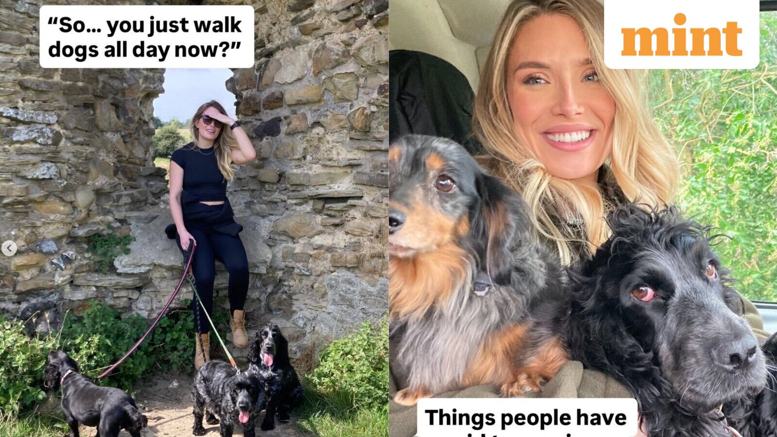 UK woman quit a high-paying criminal law career for dog-walking, now earns ₹50,000 a day