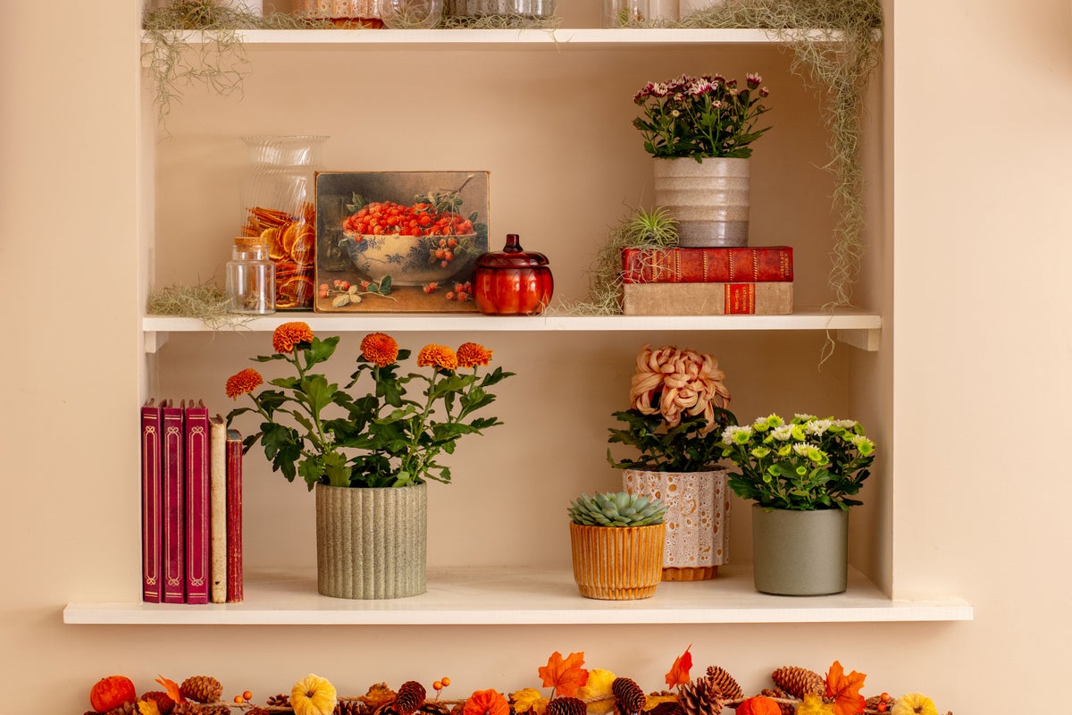 Colourful houseplants to give your home a sense of autumn