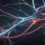 Genes that help flatworms regenerate their brains revealed