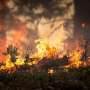 Children born today in Europe will live through almost twice as much extreme fire weather as their grandparents
