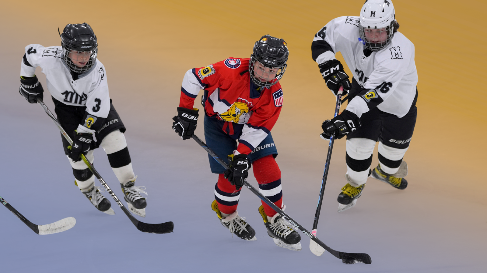 The Youth Hockey Giant That Can’t Quit Private Equity