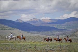 Farm charm travel trend: Immersive stays on working farms