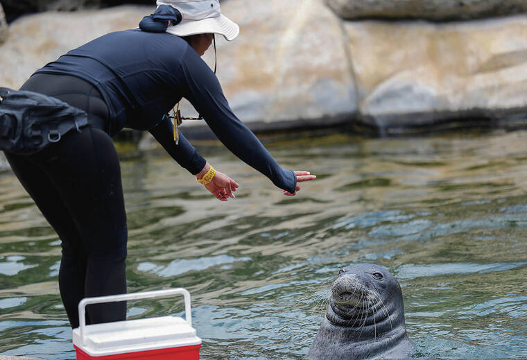 Letter: Sea Life Park takeover a chance to infuse culture