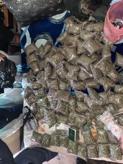 R87k dagga haul seized, four suspects arrested in Kimberley
