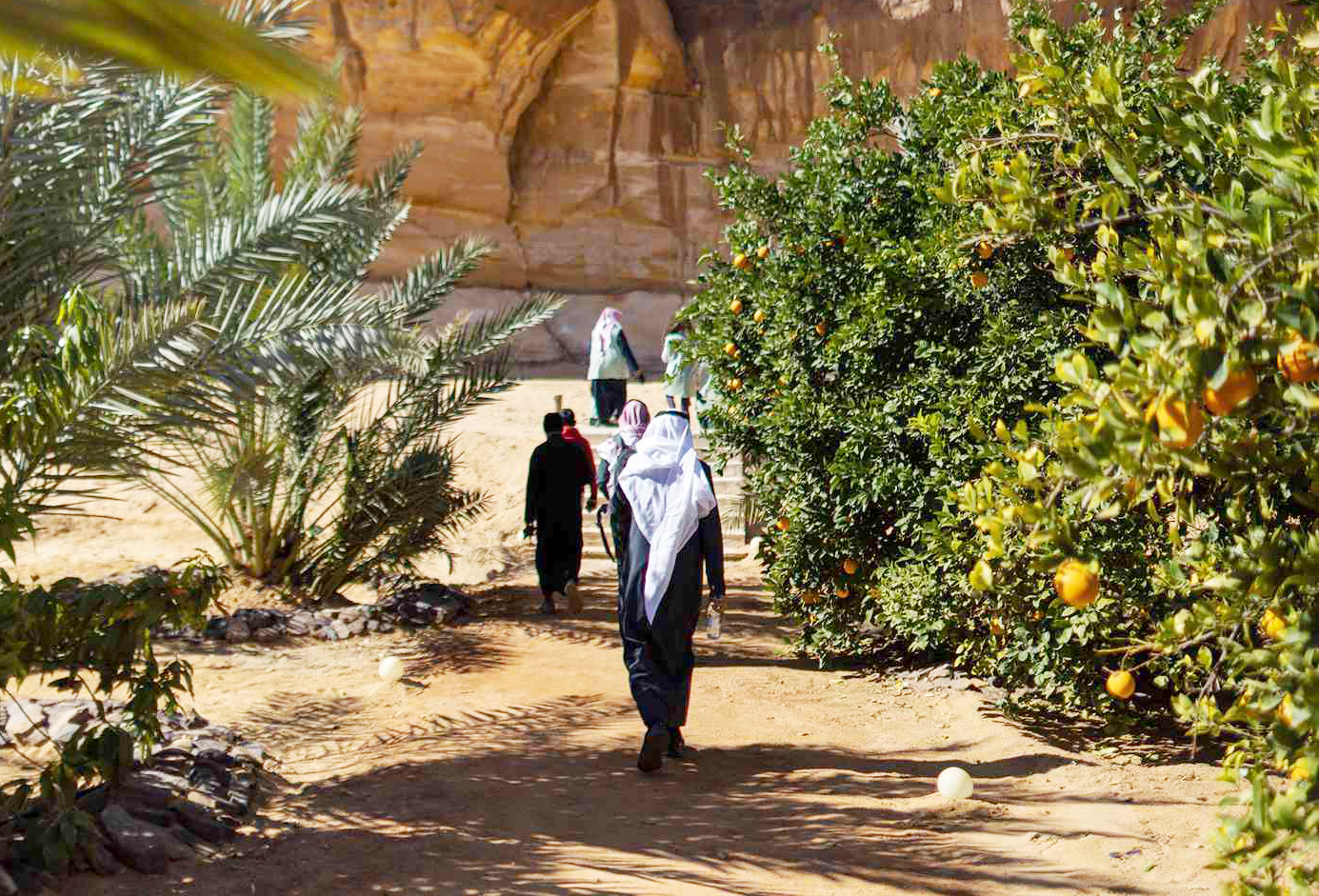 AlUla seeks to boost value of farm produce