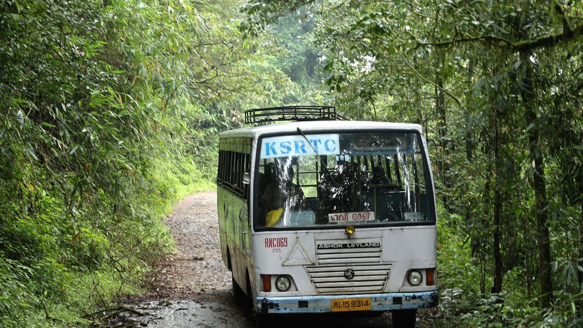 17 injured as giant honeybees swarm KSRTC bus near Gavi in Keralam