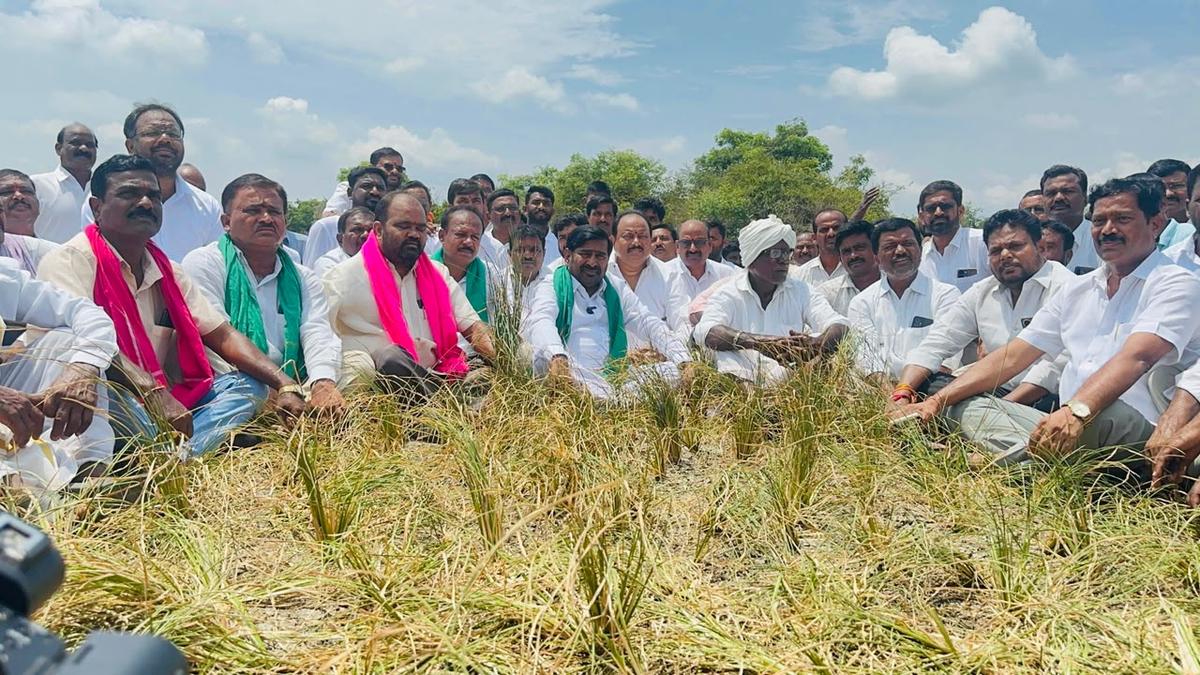 Ryots won’t forgive Congress govt. for denying water, power: BRS