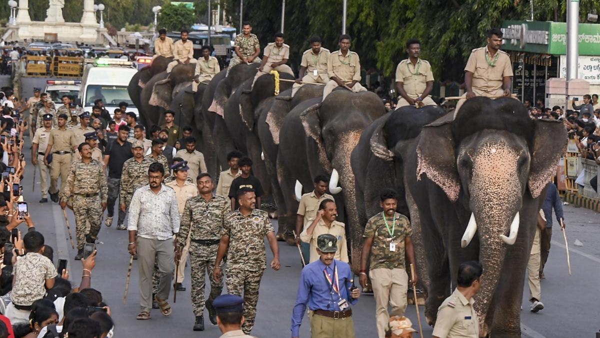 Dasara gold cards, event tickets go on sale