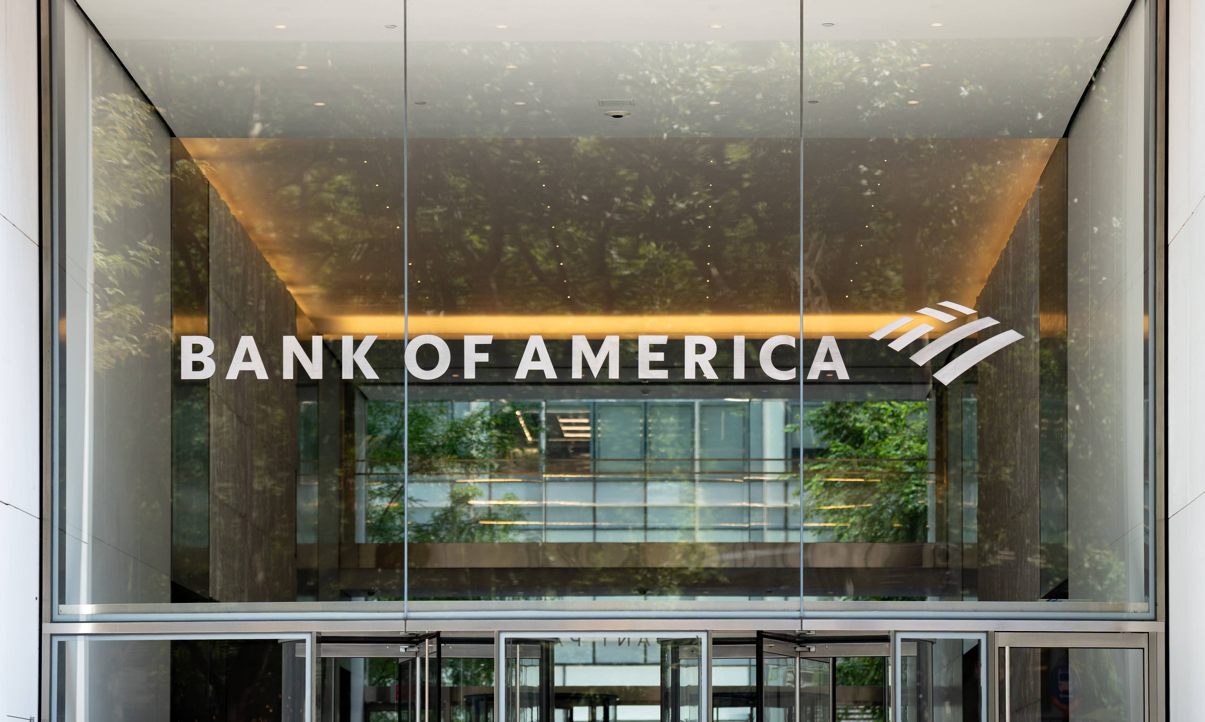 Bank of America says buy tumbling shares of aviation giant