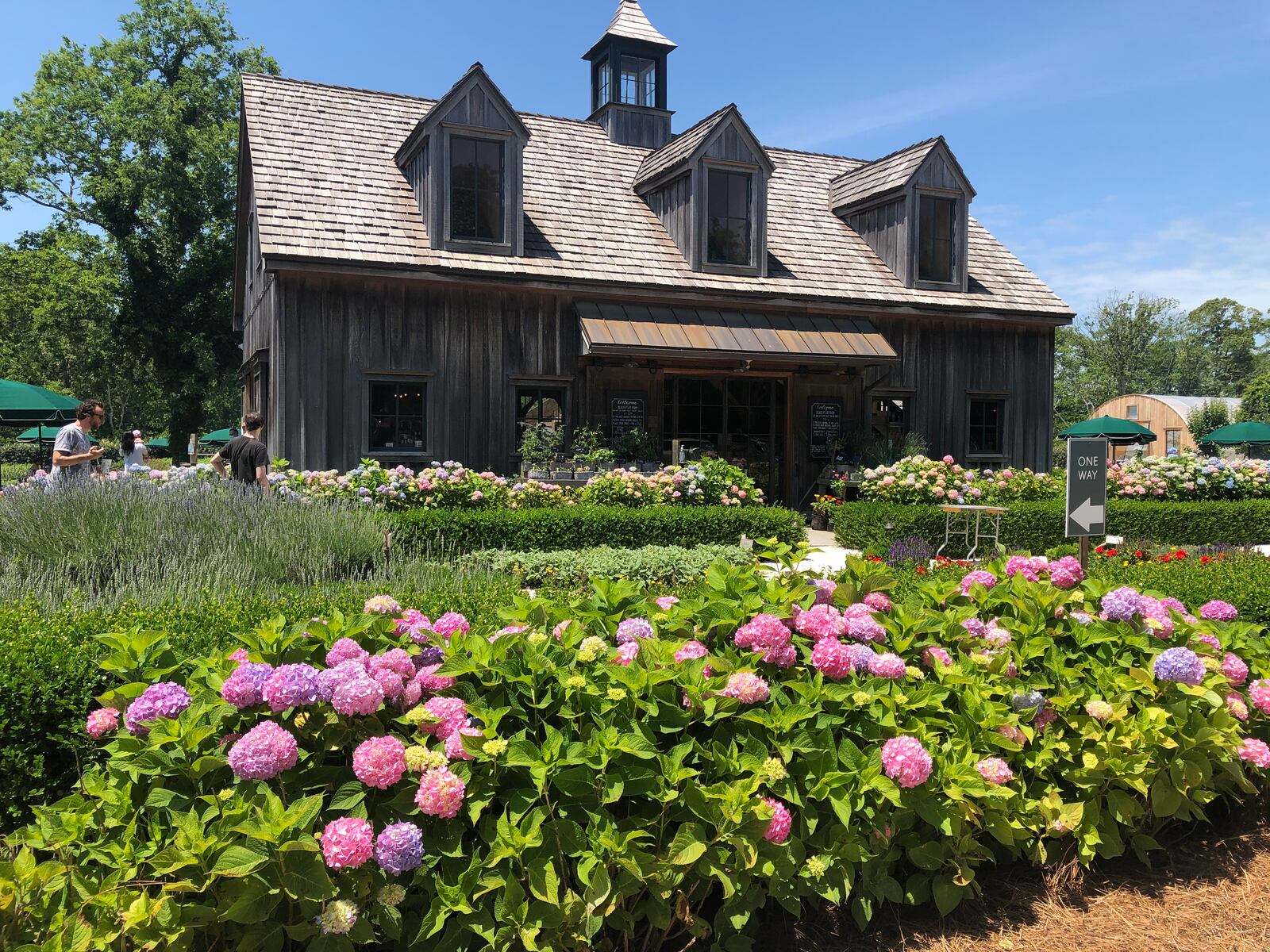 New Jersey’s 33 best small towns for perfect fall day trips, ranked for 2026