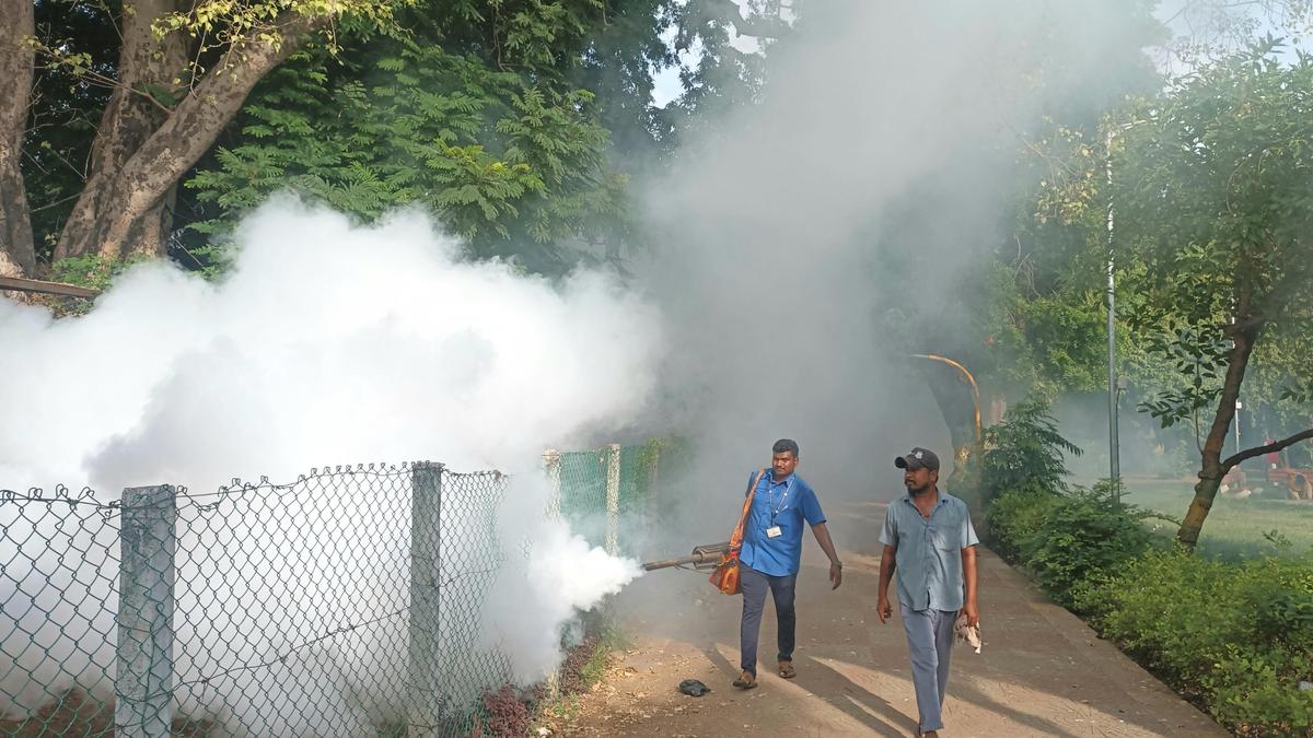 GCC detects, eliminates mosquito breeding sources in 4,192 houses during field inspections