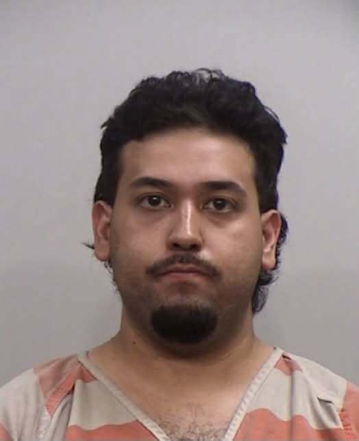 Affidavit reveals victim bit suspect on chest to escape attempted kidnapping at Irving park