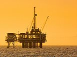 North Sea has lost 25,000 jobs under Labour: Industry chiefs demand windfall tax is scrapped