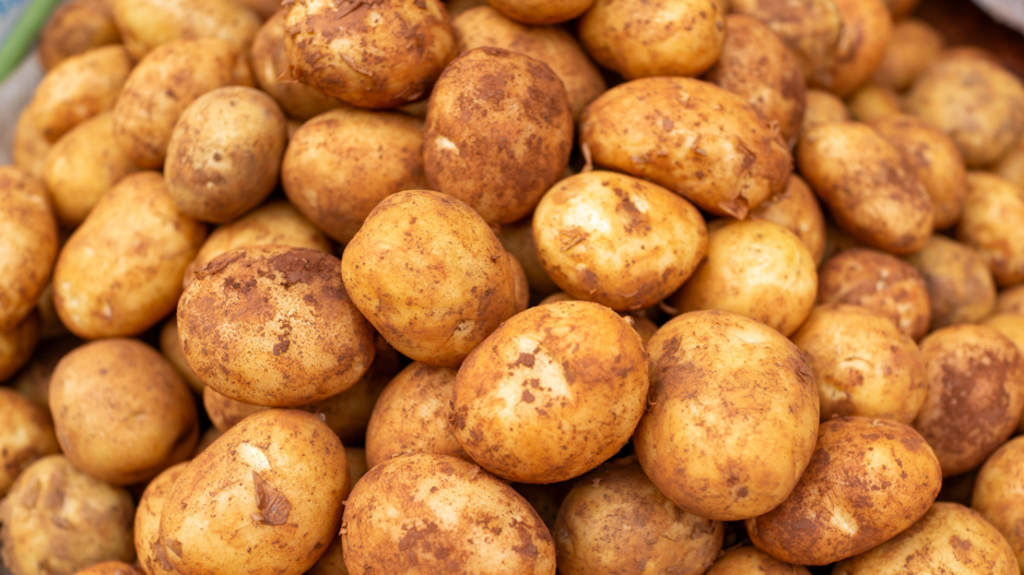 Administrators appointed to Glens of Antrim Potatoes