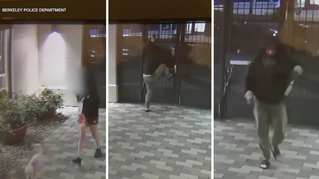 VIDEO: Man scales locked gate after chasing UC Berkeley student home