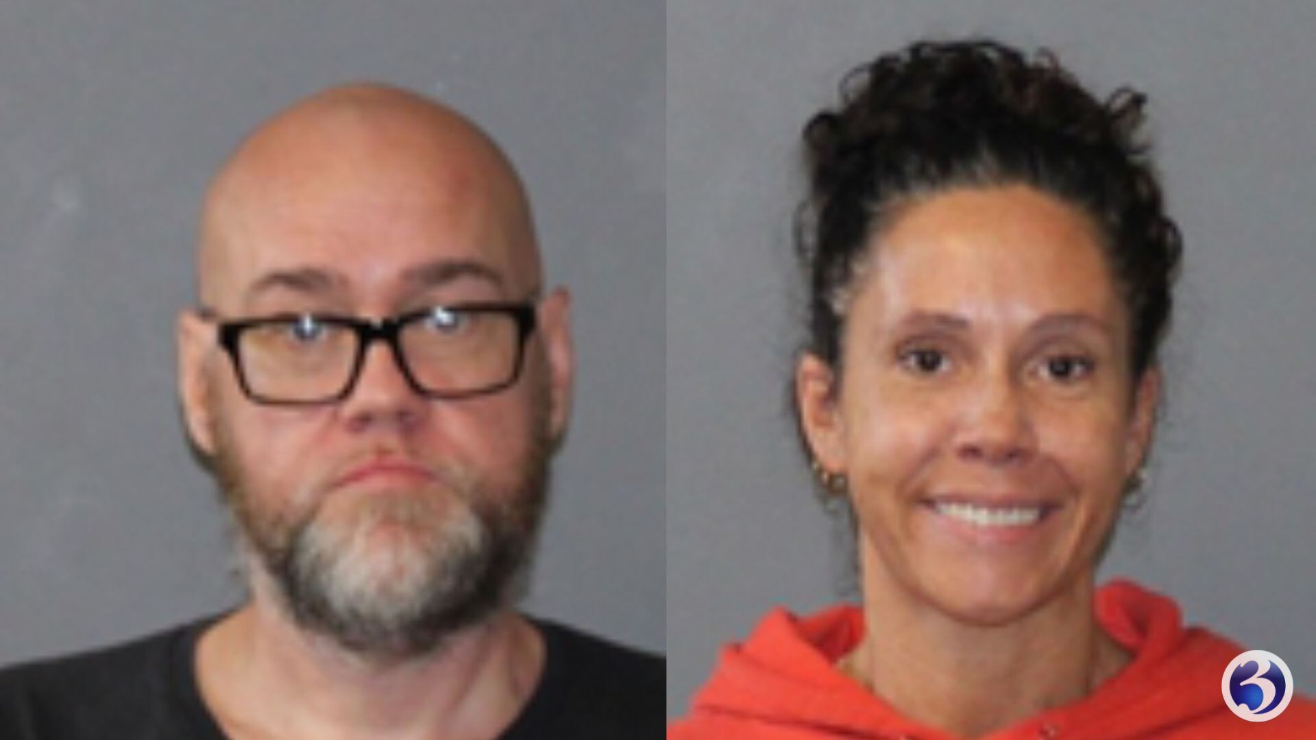 2 arrested after investigators find 5 dead dogs at property, troopers say