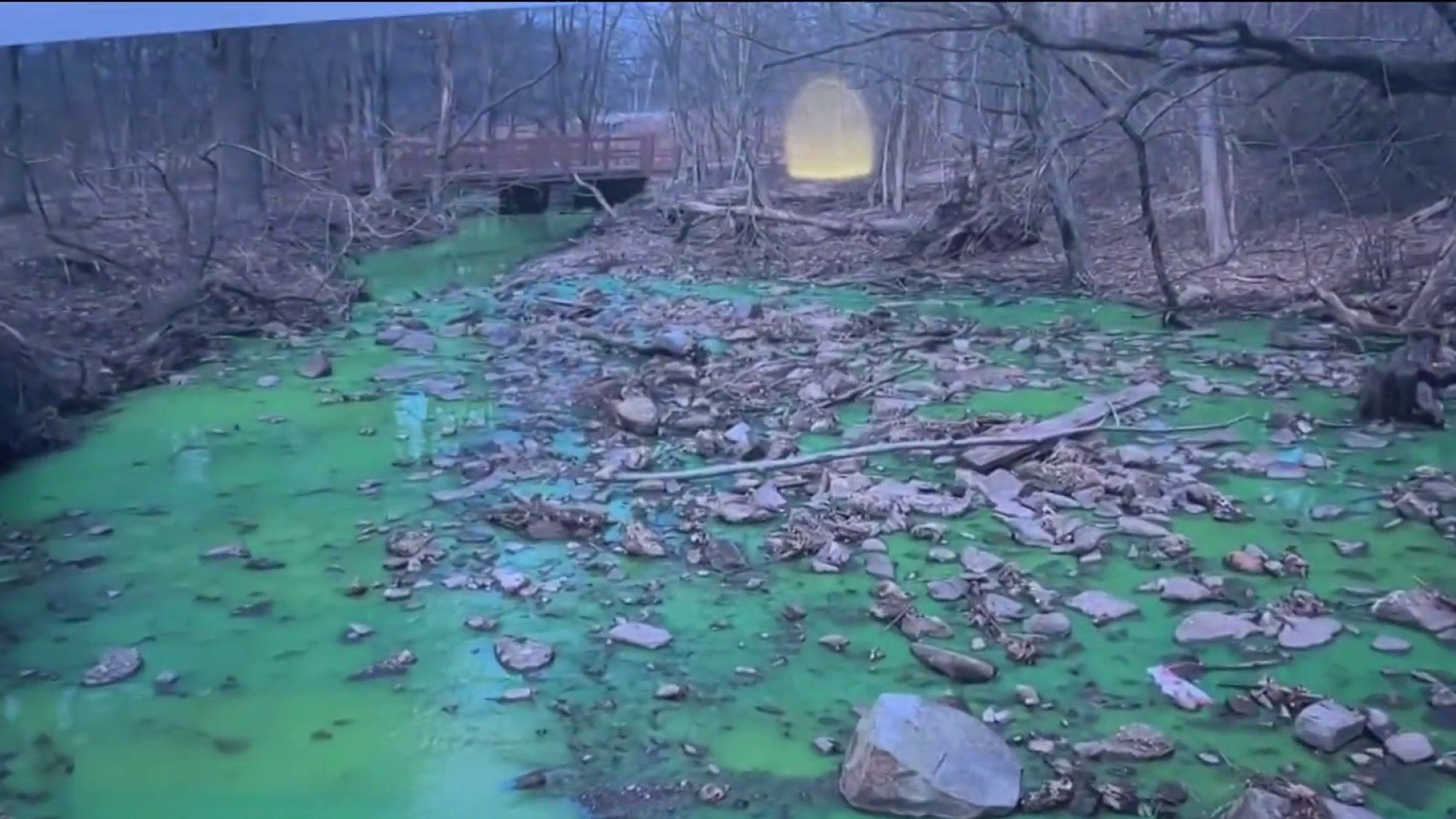 Officials demand investigation after raw sewage spilled into Staten Island park lakes
