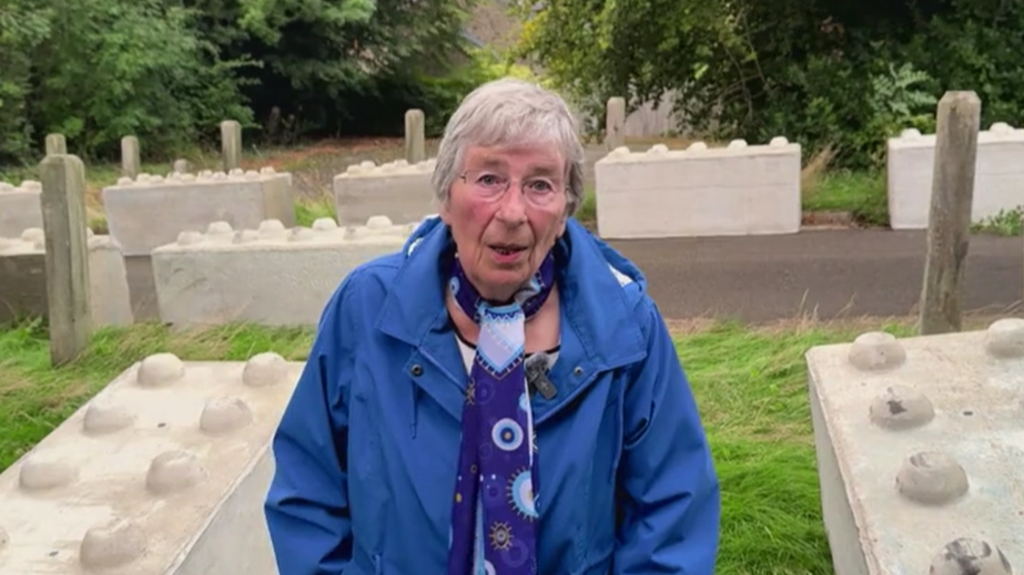 Fenced-in woman angered by new concrete 'Lego' blocks
