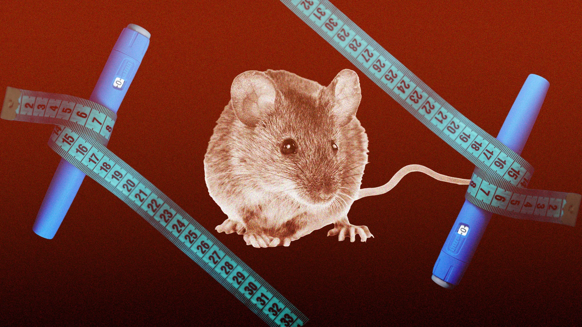 A New Study Suggests Semaglutide Can Help Us Live Longer—And Not Just by Eating Less