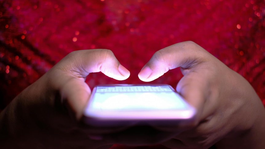 US says Australian digital care bill would 'facilitate censorship'
