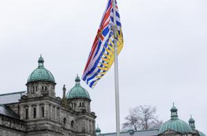 New B.C. Conservative leader Doerkson to appear with caucus amid election speculation