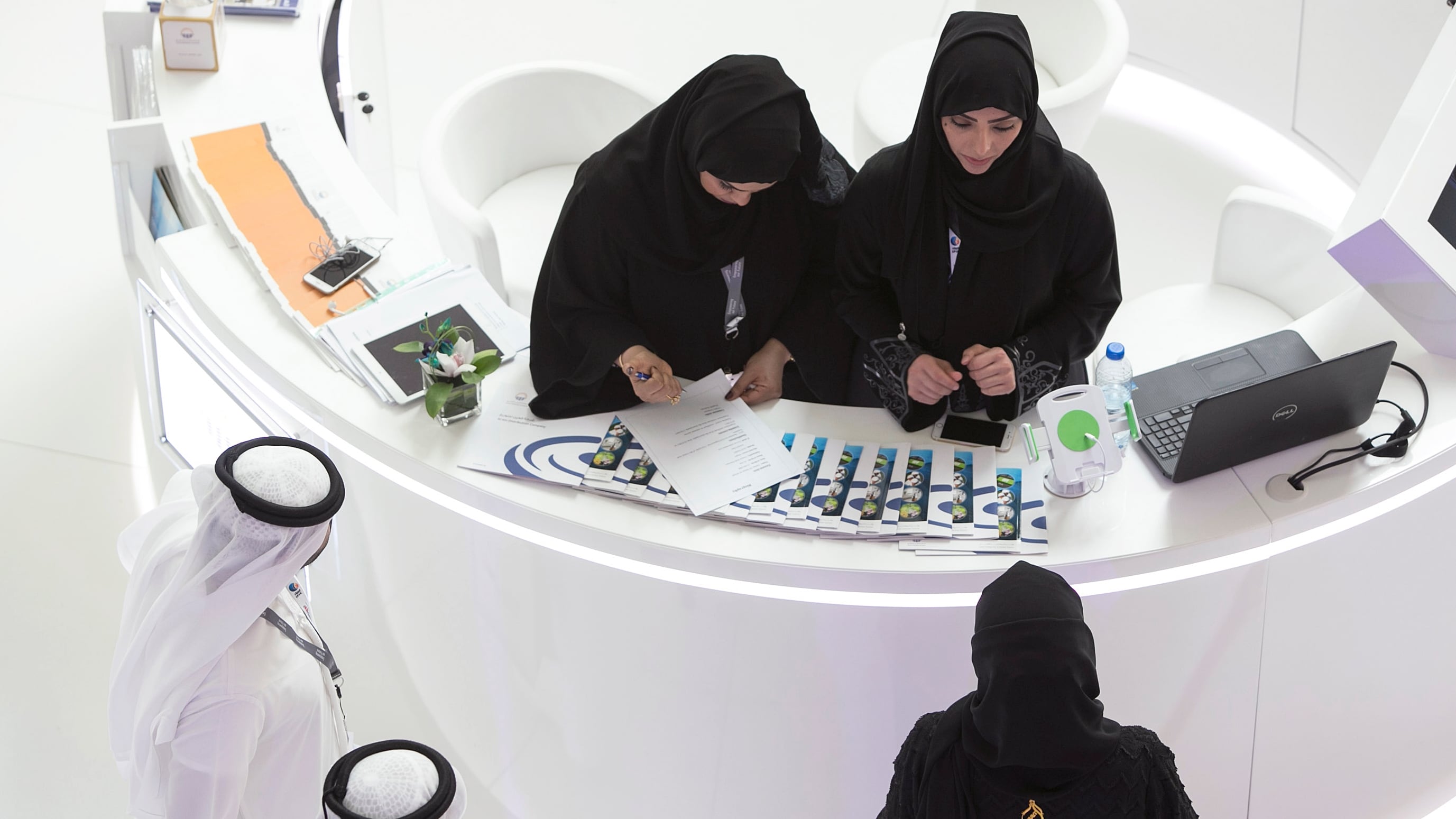 UAE detects 377 fake Emiratisation cases at 266 private companies in first half of the year