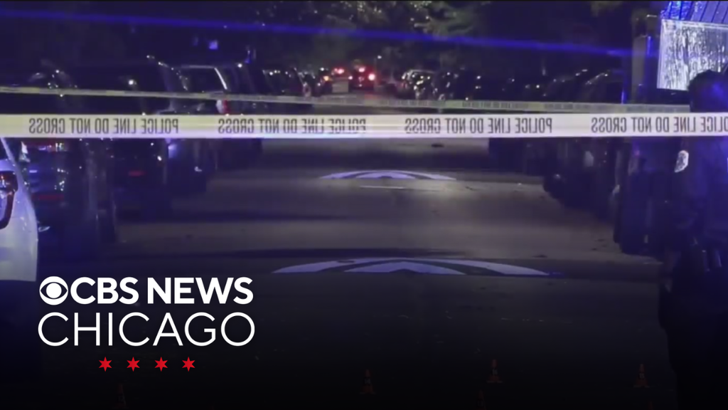 Woman shot while driving in Little Village