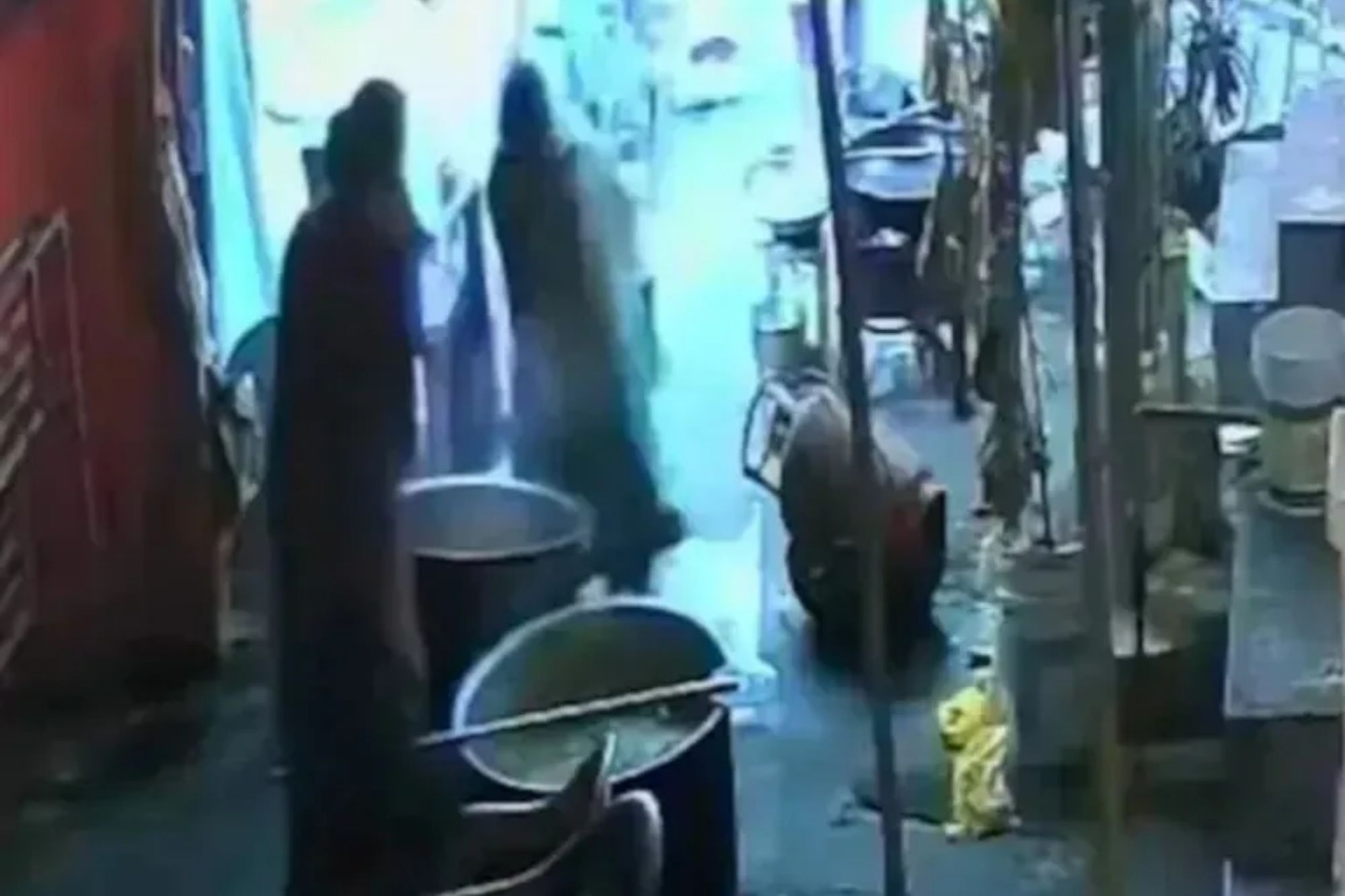 Woman, 46, dies after tripping and plunging headfirst into huge pot of boiling stew while preparing food for festival