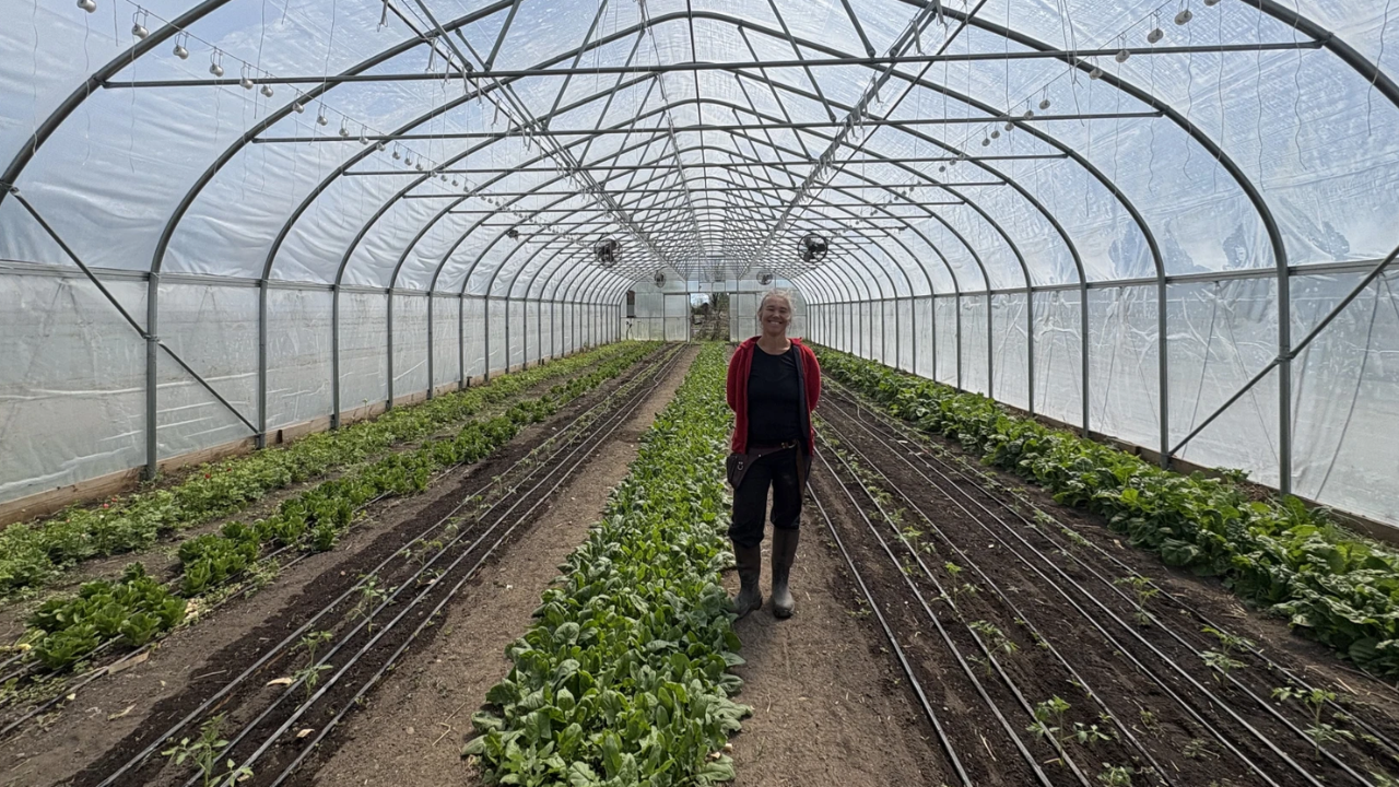 Couple started on leased land; 2.5-acre farm now makes nearly $700,000 a year