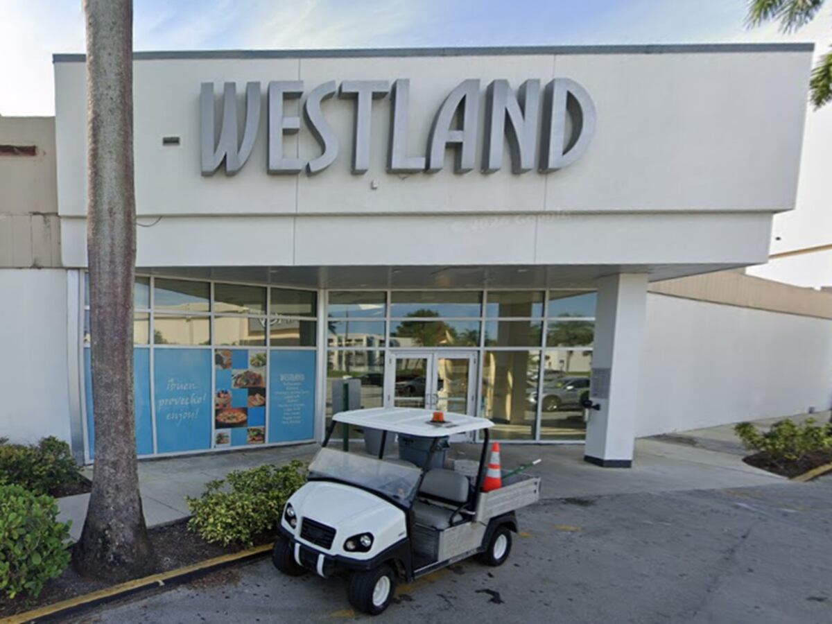Dirty Dining Extra: 2 Westland Mall restaurants with rodent issues ordered shut