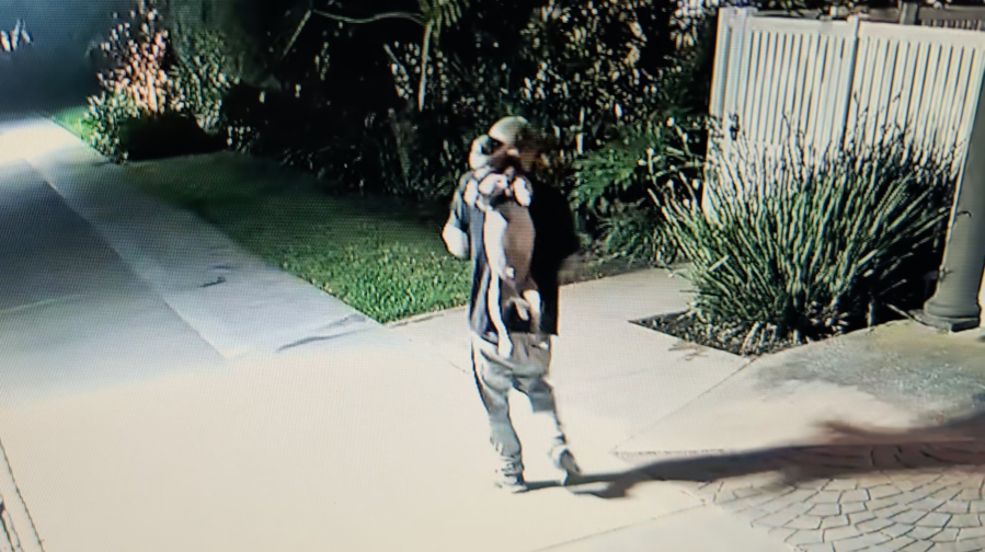 Disturbing video shows man appearing to harm dog near California dock