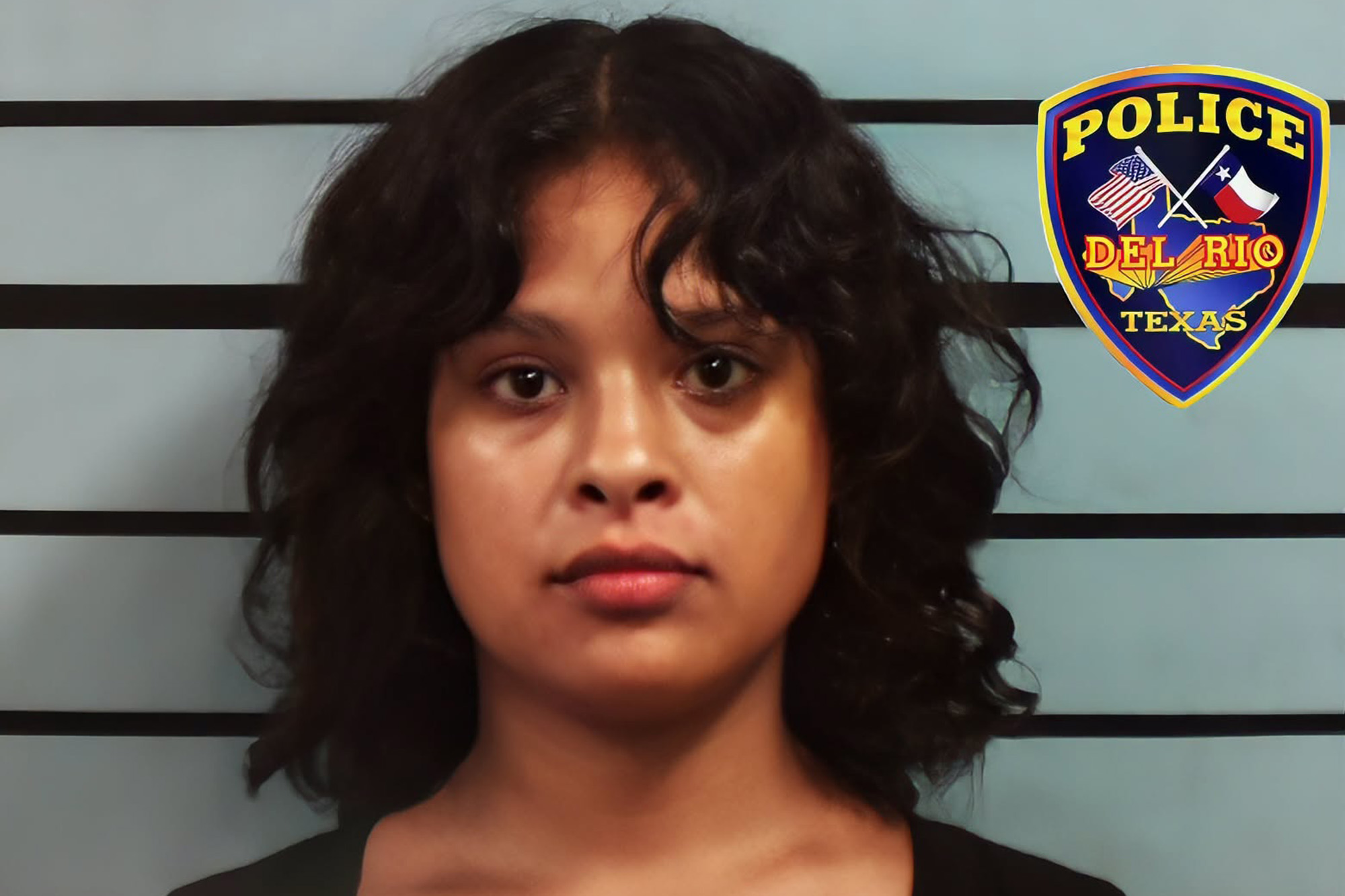 Crazed woman goes on the attack with metal pipe after breaking into house through doggy door: police