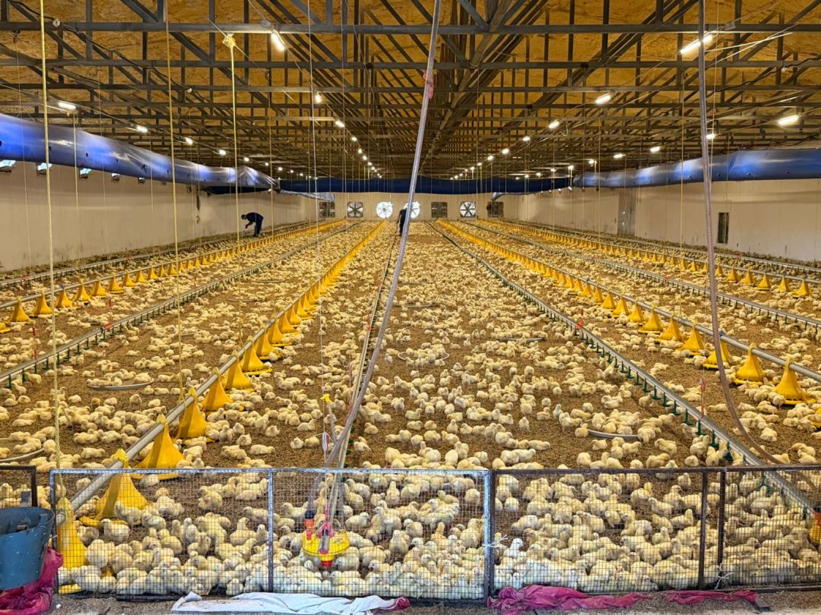 Türkiye’s farm input costs show 13.64-point annual gap