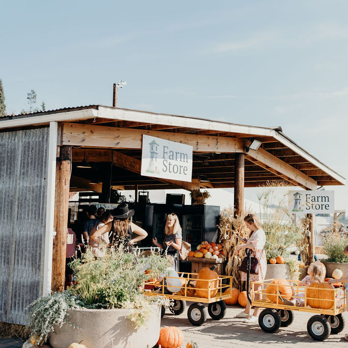 13 Great Pumpkin Patches to Visit near Portland This Fall