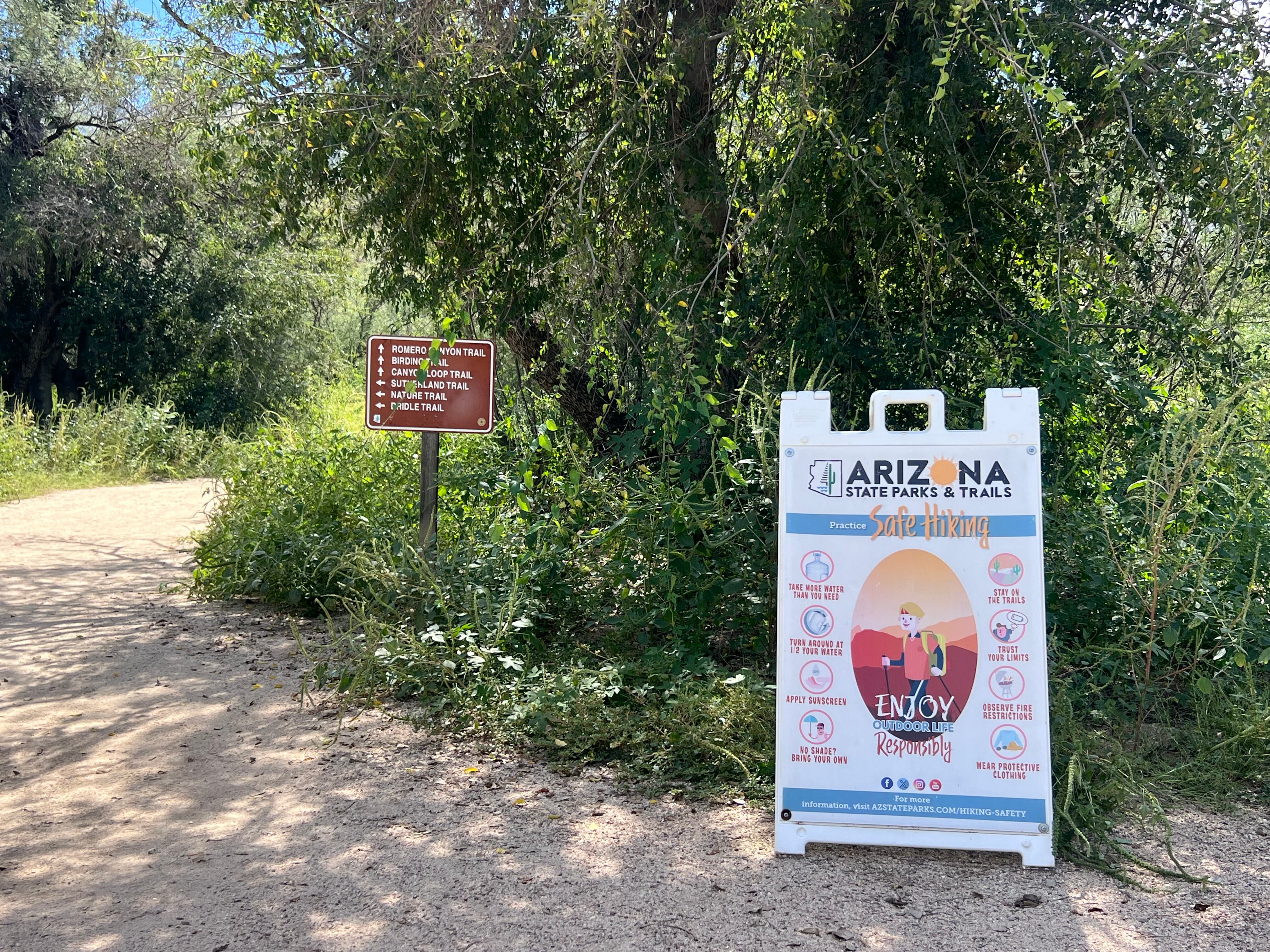 Man dies while hiking at Catalina State Park