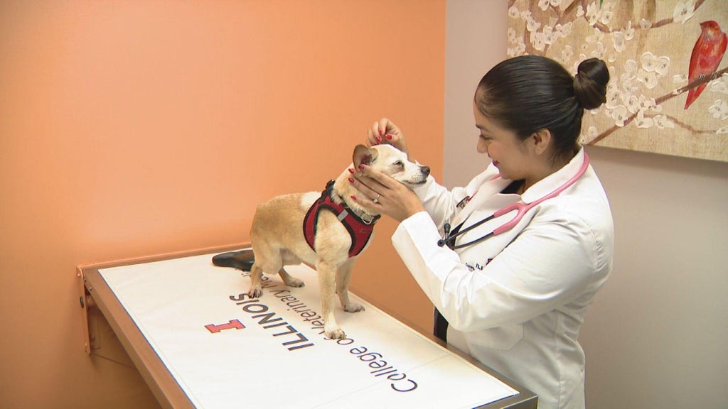 Little Village veterinarian is helping future generations achieve their dreams